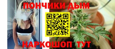 стаф Тула
