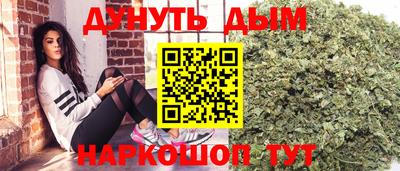 стаф Тула