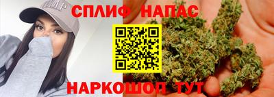 стаф Тула